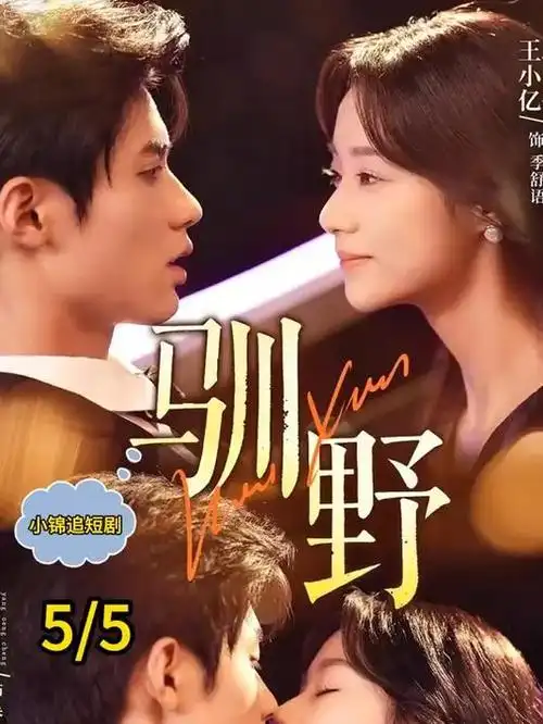 长夜将明 高清剧集在线观看